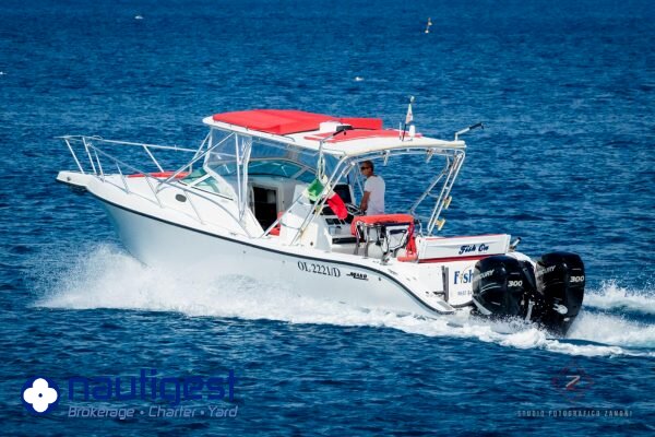 MAKO 33 "Fish on"