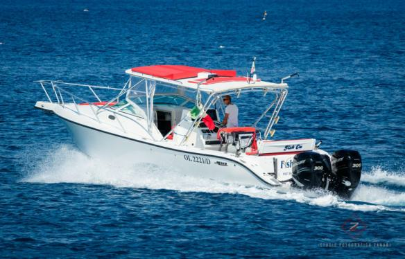 Mako 33 "Fish on"
