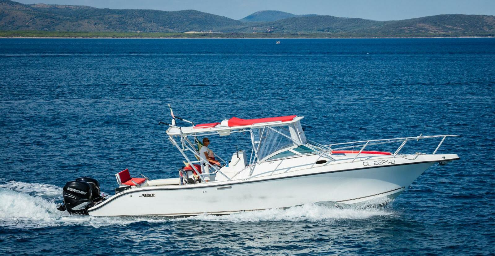 Mako 33 "Fish on"